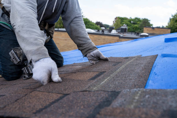Best Roof Leak Repair  in Mcgehee, AR