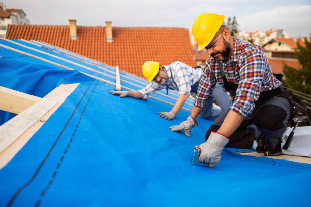 Best Emergency Roof Repair  in Mcgehee, AR